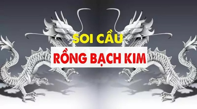 soi-cau-rong-bach-kim-mien-trung